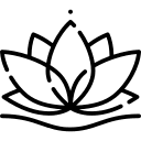 lotus design