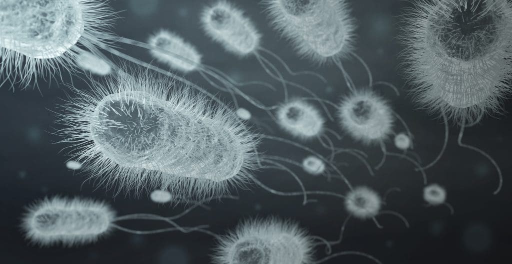 bacteria cells in black and white, showing how effective ozone therapy for infections is