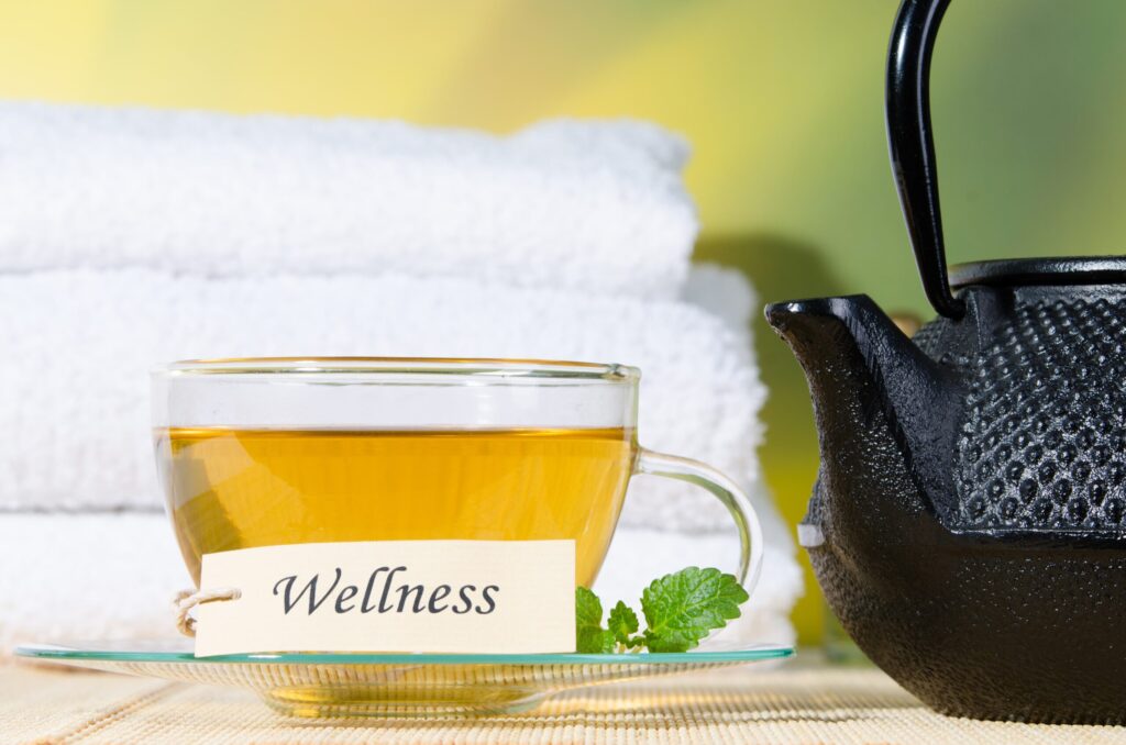 Image representing the Empower Wellness Spa 360 Wellness Membership and the full-circle approach to holistic health.